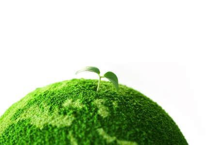 Planet with tree and Sproutの写真素材