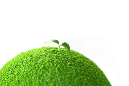 Planet with tree and Sproutの写真素材