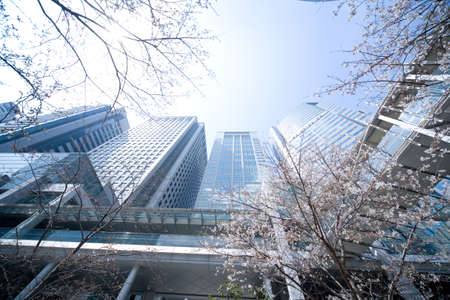 Skyscraper の写真素材