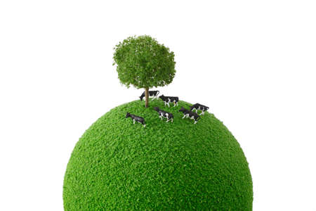 Calf standing green planetの写真素材
