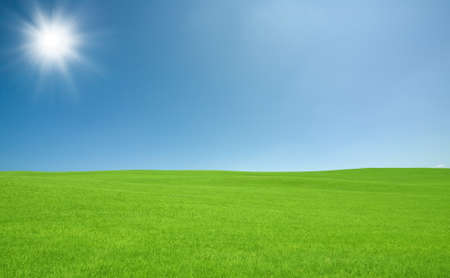 Green grass and skyの写真素材