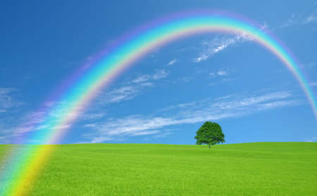 Green field with lone tree and rainbowの写真素材
