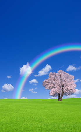 Sakura tree on the green hill.の写真素材