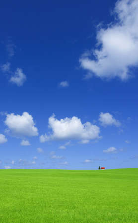Green grass and red roof house の写真素材