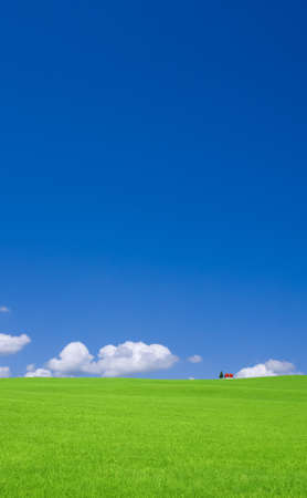 Green grass and red roof house の写真素材