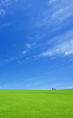 Green grass and red roof house の写真素材