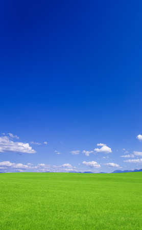 Green grass and sky の写真素材