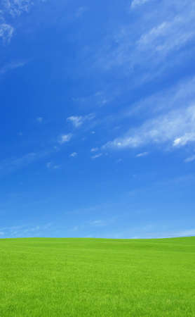 Green grass and sky の写真素材