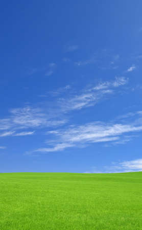 Green grass and sky の写真素材
