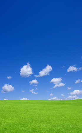 Green grass and sky の写真素材