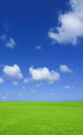 Green grass and sky の写真素材