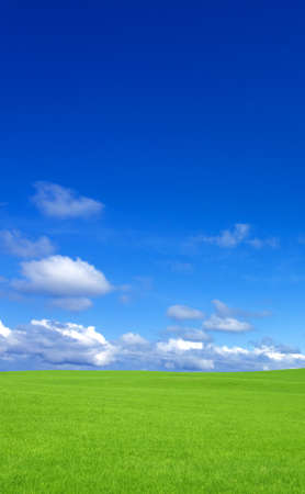 Green grass and sky の写真素材