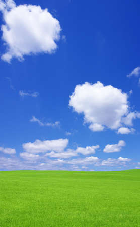 Green grass and sky の写真素材