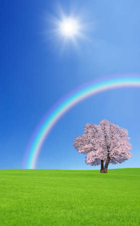Sakura tree on the green hill.の写真素材