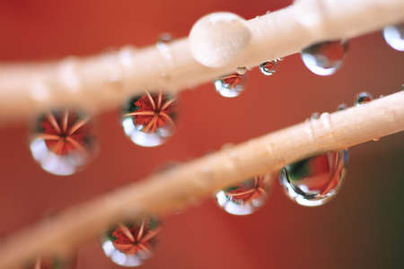 dropletsの写真素材