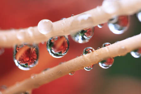 dropletsの写真素材