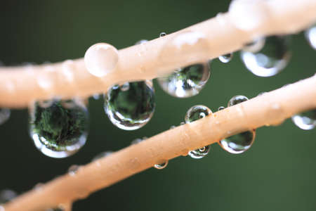 dropletsの写真素材