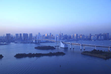 View of Tokyo downtown at night with Rainbow Bridge の写真素材