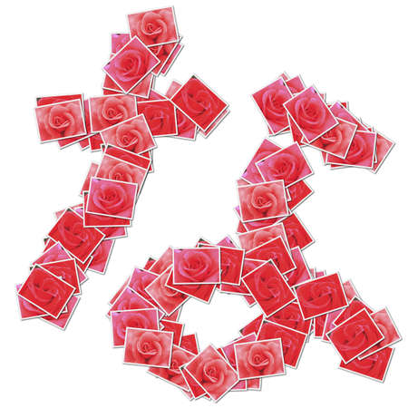 Japanese Characters hiragana, made from rose photo.の写真素材