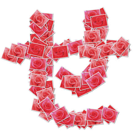Japanese Characters hiragana, made from rose photo.の写真素材