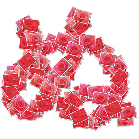Japanese Characters hiragana, made from rose photo.の写真素材