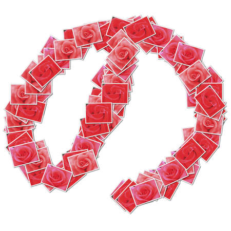 Japanese Characters hiragana, made from rose photo.の写真素材