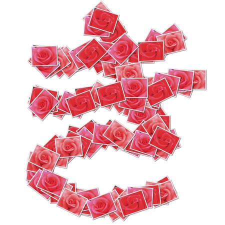 Japanese Characters hiragana, made from rose photo.の写真素材