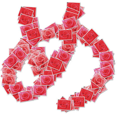 Japanese Characters hiragana, made from rose photo.の写真素材