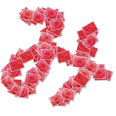 Japanese Characters hiragana, made from rose photo.の写真素材