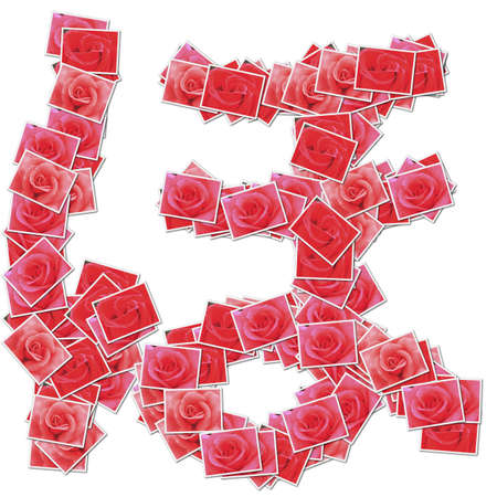 Japanese Characters hiragana, made from rose photo.の写真素材
