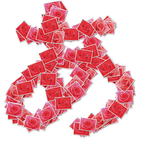 Japanese Characters hiragana, made from rose photo.の写真素材