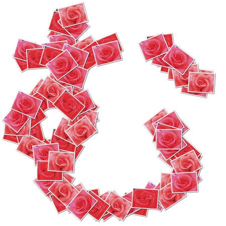 Japanese Characters hiragana, made from rose photo.の写真素材