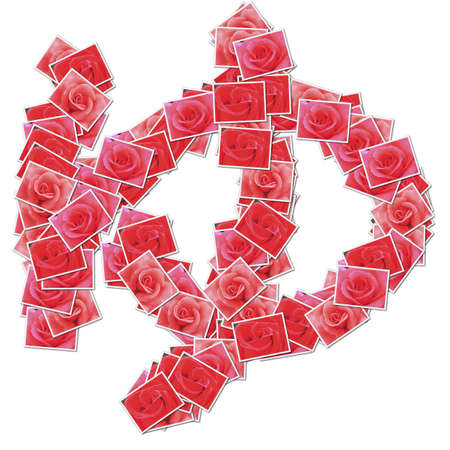 Japanese Characters hiragana, made from rose photo.の写真素材