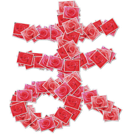 Japanese Characters hiragana, made from rose photo.の写真素材
