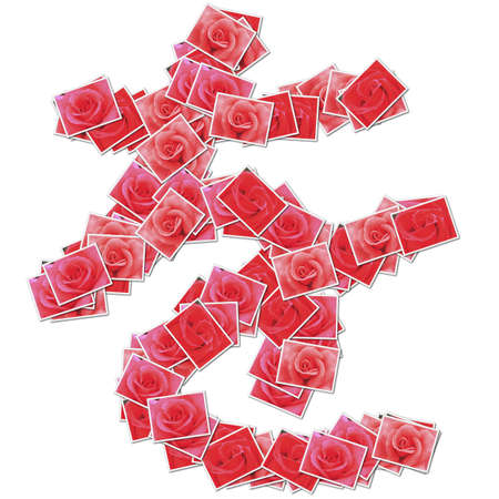 Japanese Characters hiragana, made from rose photo.の写真素材