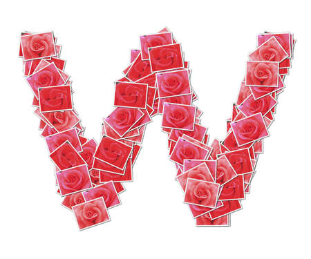 Alphabet Font, made from rose photo.の写真素材