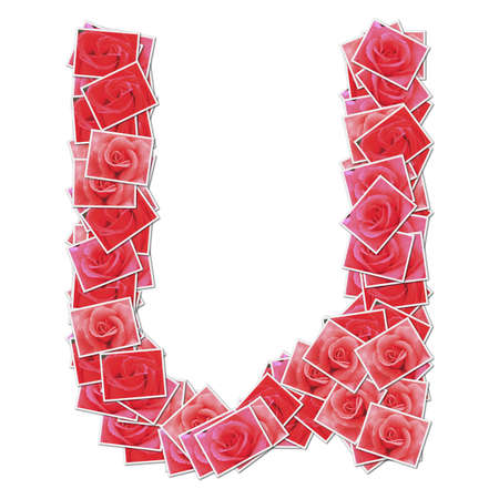 Alphabet Font, made from rose photo.の写真素材