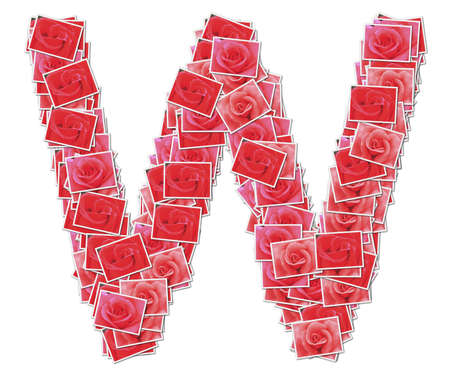 Alphabet Font, made from rose photo.の写真素材