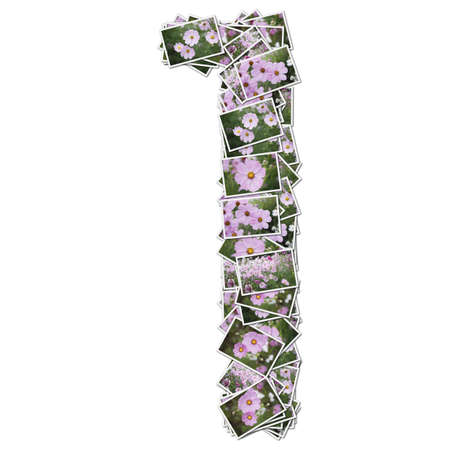 Number flower font, made from flower photo. の写真素材
