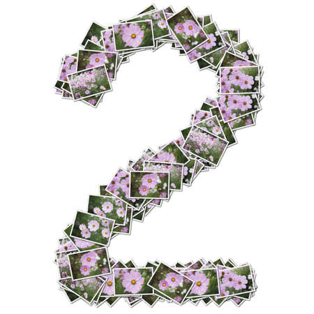 Number flower font, made from flower photo. の写真素材