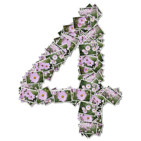 Number flower font, made from flower photo. の写真素材