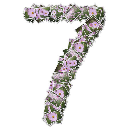 Number flower font, made from flower photo. 