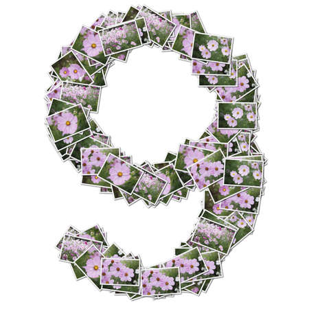 Number flower font, made from flower photo. の写真素材