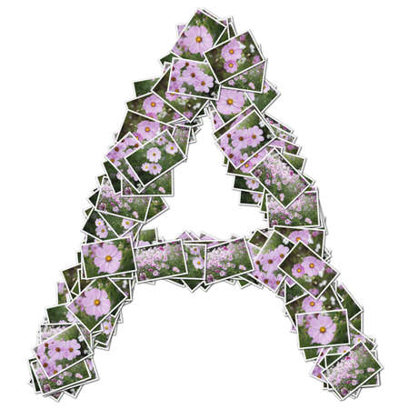 Alphabet flower Font, made from flower photo.の写真素材