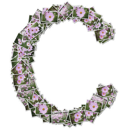 Alphabet flower Font, made from flower photo.の写真素材