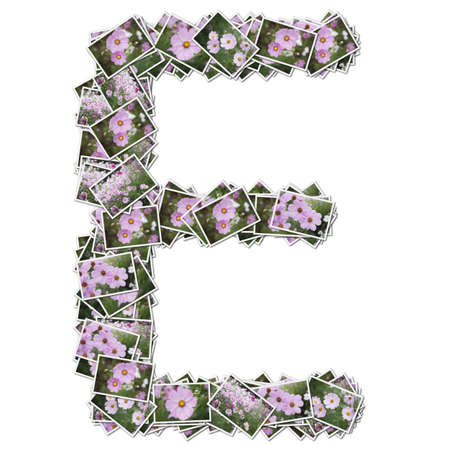 Alphabet flower Font, made from flower photo.の写真素材