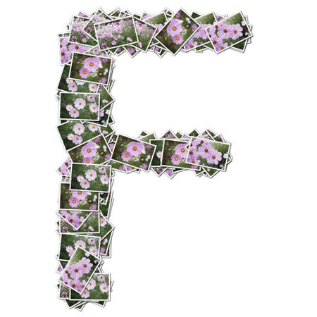 Alphabet flower Font, made from flower photo.の写真素材