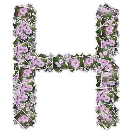 Alphabet flower Font, made from flower photo.の写真素材