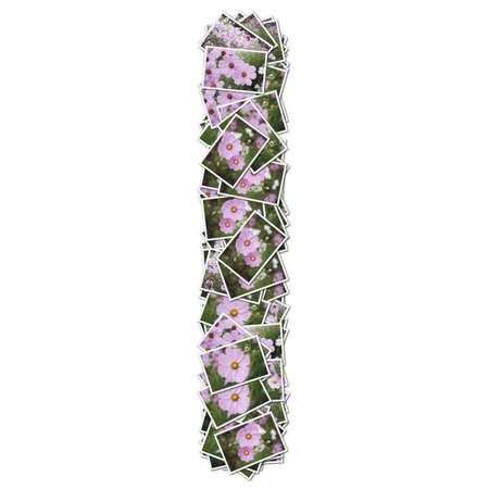 Alphabet flower Font, made from flower photo.の写真素材