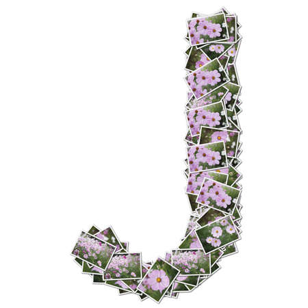Alphabet flower Font, made from flower photo.の写真素材